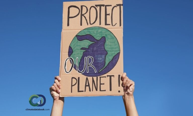 UN urges sustained climate action despite La Nina