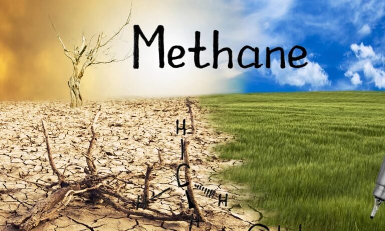 Global Methane Pledge Gains Momentum Ahead Of COP30