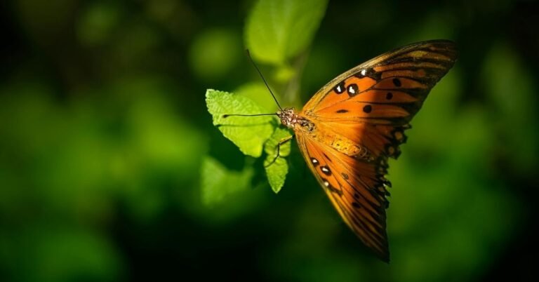 Green Transformation