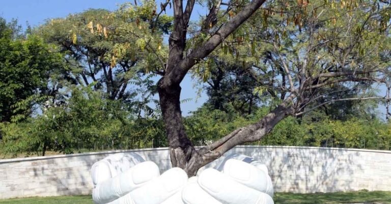 Azerbaijan-Pakistan Team Up for Green Islamabad