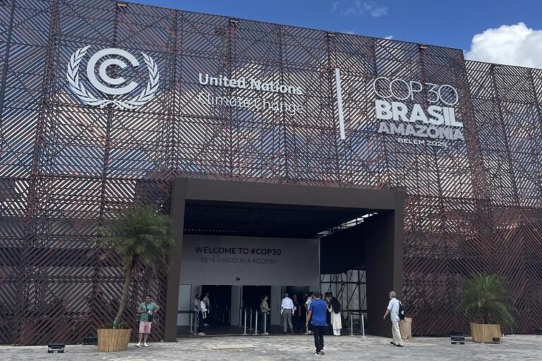 Fire at COP 30 Venue Reminds of Global Wildfire Management Gaps