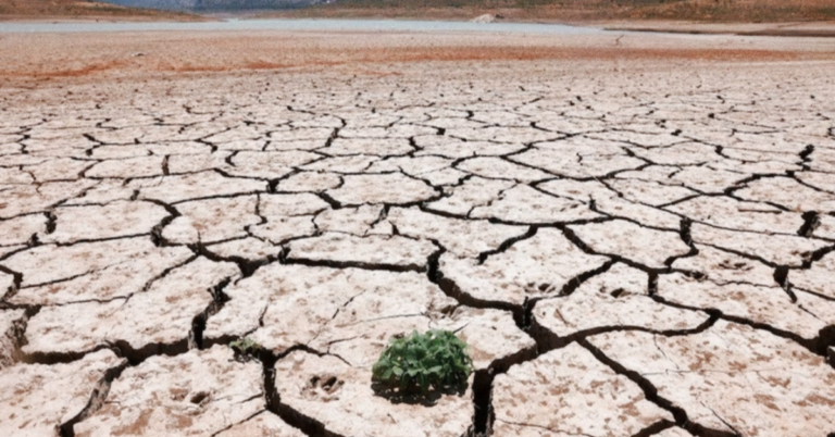 UN warns record heat by 2030; Pakistan faces crisis