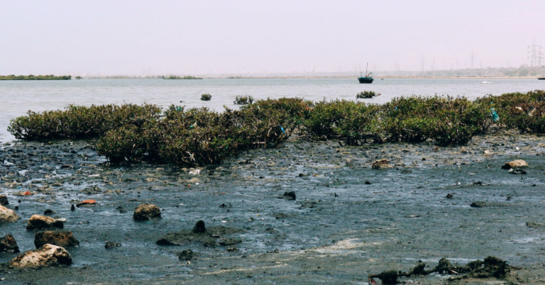 Federal, Provincial Leaders Push Ocean Sustainability, Marine Action
