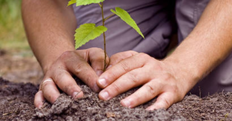 Poverty Alleviation Ministry Launches Green Drive for Poverty Reduction, Climate Resilience