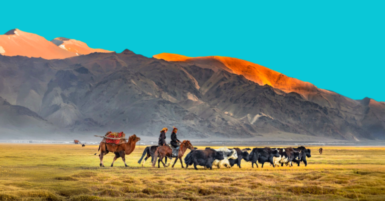 Silk Road Caravan crosses 6,000km on rangeland conservation journey