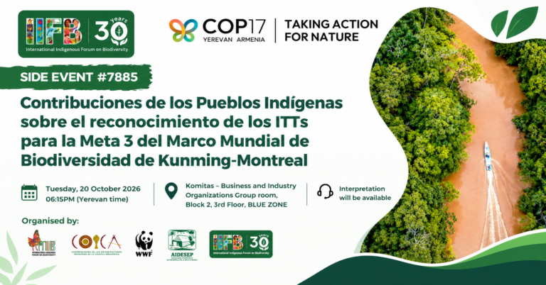 Indigenous Leaders Urge Recognition of Traditional Territories at COP17